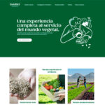 Gautier Semences lanza su nuevo sitio web