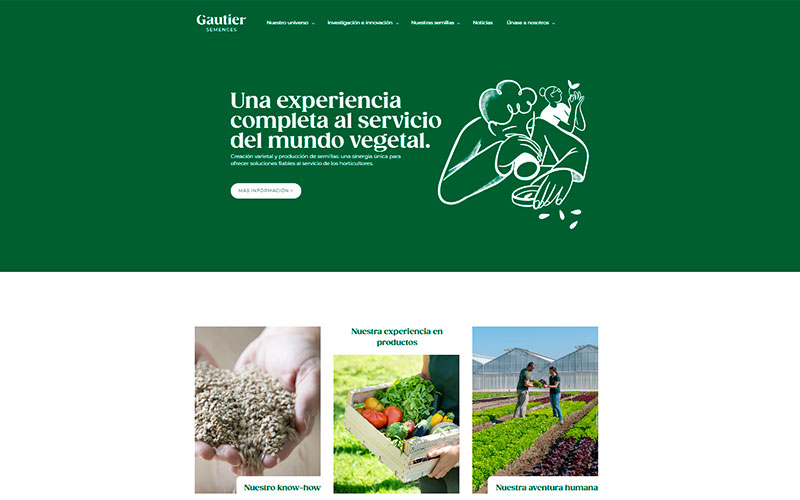 Gautier Semences lanza su nuevo sitio web