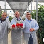 Antonio Miguel López, Javier García y José Ramón Martínez. Miembros del equipo de pimiento de BASF | Nunhems / agroautentico.com