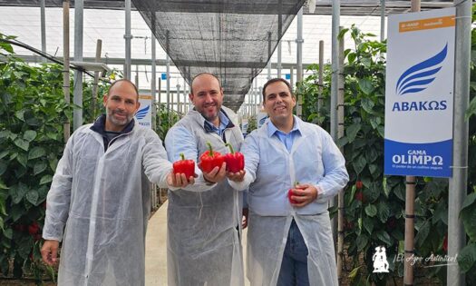 Antonio Miguel López, Javier García y José Ramón Martínez. Miembros del equipo de pimiento de BASF | Nunhems / agroautentico.com