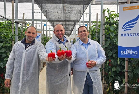 Pimiento Abakos refuerza la oferta de agosto en california rojo