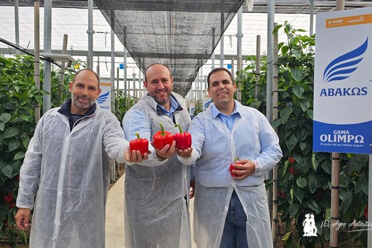 Pimiento Abakos refuerza la oferta de agosto en california rojo