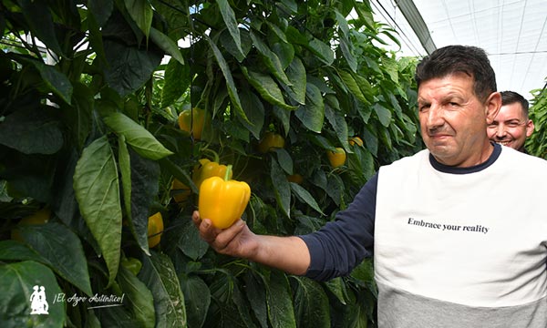 Los rojos: Tiber y Optimus 7