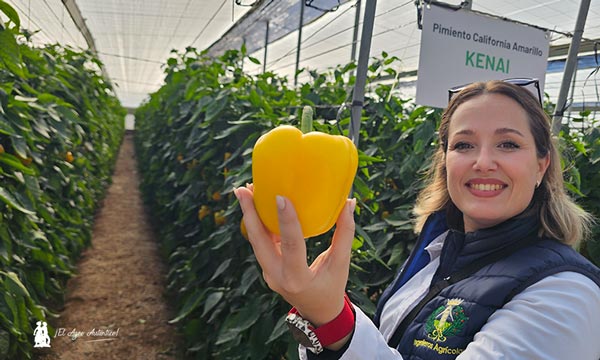 Los rojos: Tiber y Optimus 6