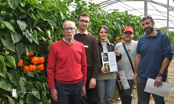 Seeds Technologies y Fraimher Agro llegan con 5 pimientos y 3 colores d