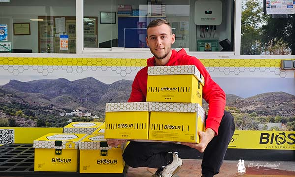 Colmenas de abejorros para tomate de primavera / agroautentico.com