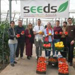 Seeds Technologies y Fraimher Agro llegan con 5 pimientos y 3 colores 2