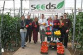 Seeds Technologies y Fraimher Agro llegan con 5 pimientos y 3 colores