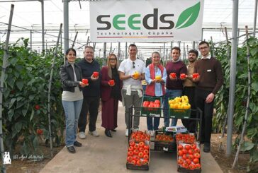 Seeds Technologies y Fraimher Agro llegan con 5 pimientos y 3 colores