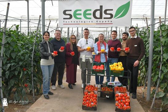 Seeds Technologies y Fraimher Agro llegan con 5 pimientos y 3 colores