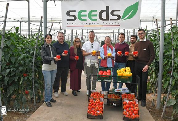 Seeds Technologies y Fraimher Agro llegan con 5 pimientos y 3 colores