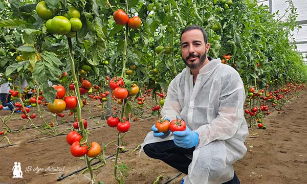 Inauguramos año con la nueva vitrina de tomate de Nunhems en Níjar