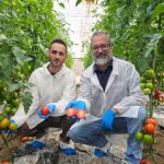 Juan Miguel Robles, especialista de cultivo de tomate, y Juan Francisco Martínez, cadena / agroautentico.com