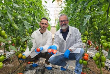 Novedades a pares en Bayer Seminis: estreno en pera de exportación resistente a rugoso y primer porta