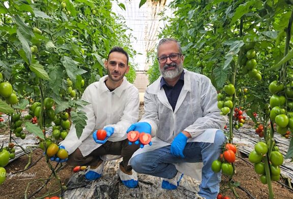 Novedades a pares en Bayer Seminis: estreno en pera de exportación resistente a rugoso y primer porta