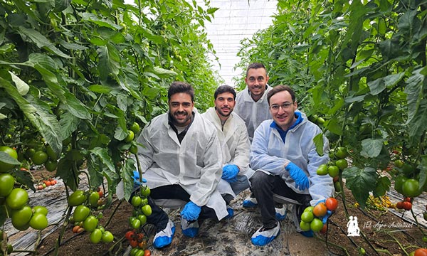 Técnicos de la cooperativa MABE con miembros del equipo de Bayer Seminis / agroautentico.com