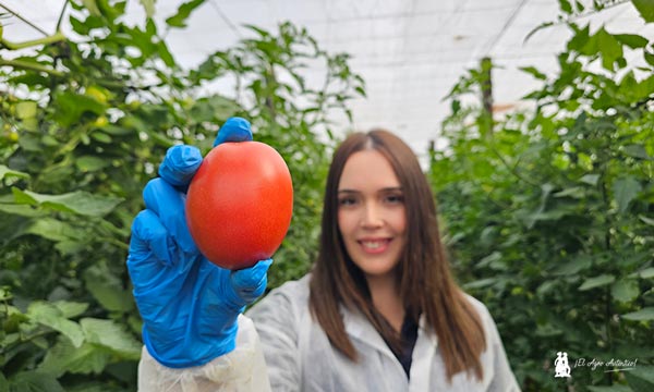 Carmen Rodríguez se incorpora al equipo técnico comercial de Bayer Seminis en Almería / agroautentico.com