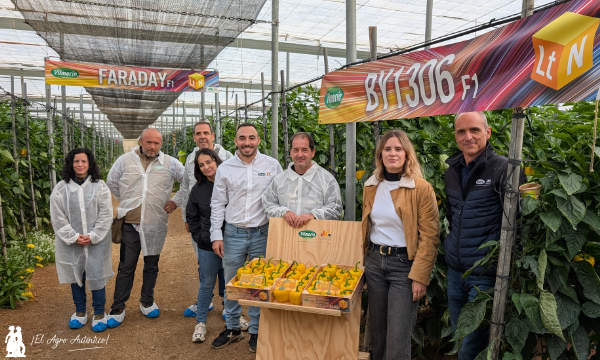 Turing antes de ser comercial era BY1306 / agroautentico.com