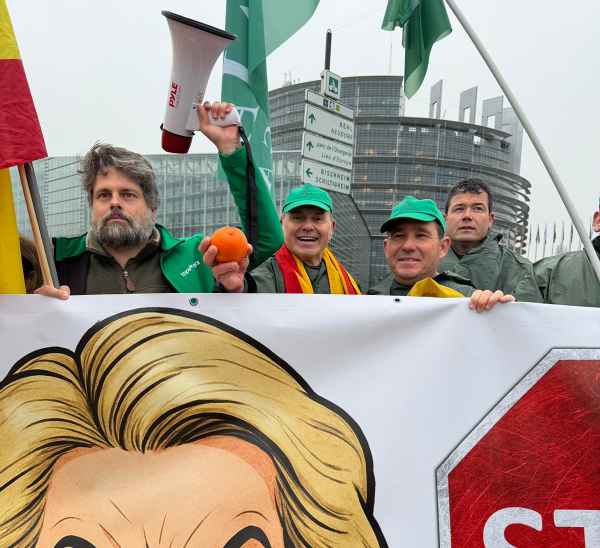 AVA-Asaja y los cítricos valencianos ante el Parlamento Europeo de Estrasburgo / agroautentico.com