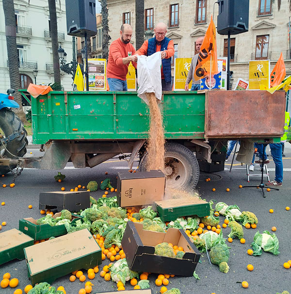 Valencia y Alicante protestan contra la amenaza de Mercosur 9
