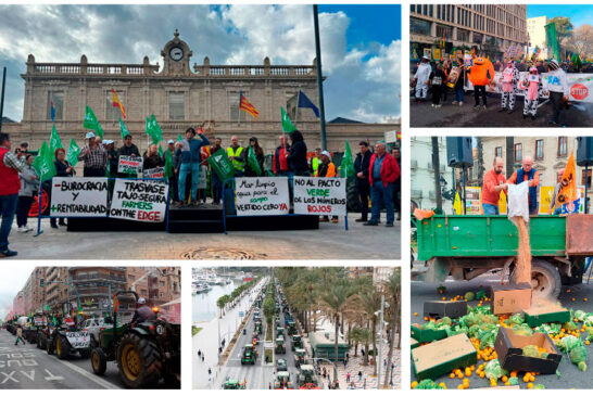 Valencia y Alicante protestan contra la amenaza de Mercosur