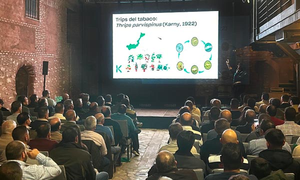 BASF | Nunhems conecta con los productores de La Mancha para generar valor en melón y sandía 2 - agroautentico.com