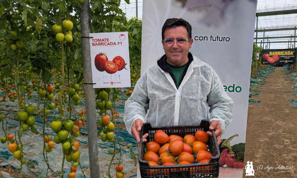 Antonio Melero, miembro del equipo de la finca experimental de Ramiro Arnedo en Las Norias / agroautentico.com