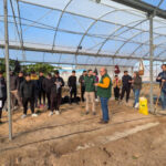 Aplicación de yeso agrícola por parte de técnicos de Lupión y Rodríguez en la finca experimental de EFA Campomar / agroautentico.com