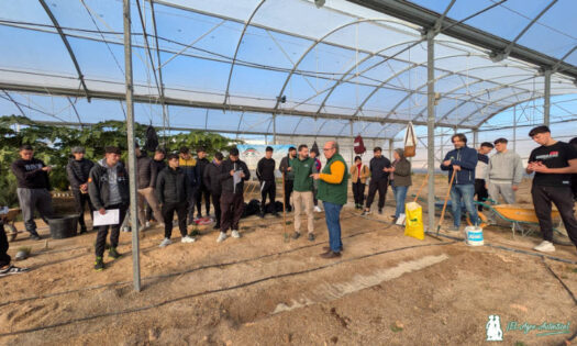 Aplicación de yeso agrícola por parte de técnicos de Lupión y Rodríguez en la finca experimental de EFA Campomar / agroautentico.com
