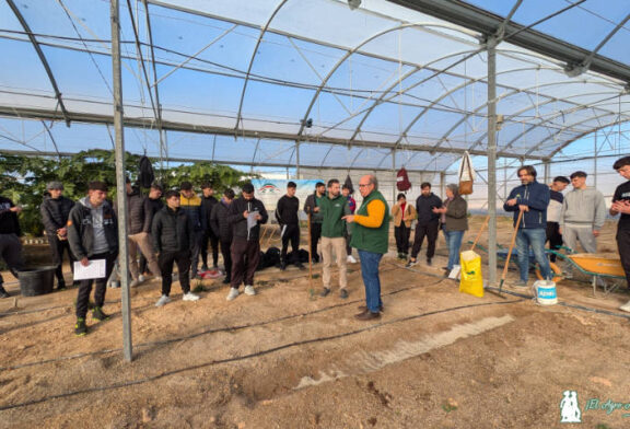 El triángulo perfecto: EFA Campomar, Lupión y Rodríguez y Sulfato Cálcico