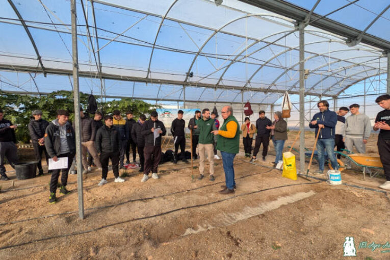 El triángulo perfecto: EFA Campomar, Lupión y Rodríguez y Sulfato Cálcico