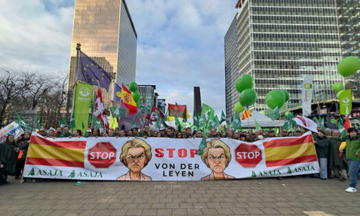 Bruselas desoye el Mercosur no del campo europeo. Desarme arancelario en un mercado que no abre oportunidades para el agricultor de la UE / agroautentico.com