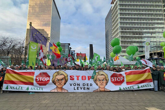 Mercosur beneficia a importadores, élites y otros sectores, pero no al agricultor europeo