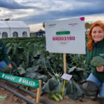 Aurelio Estopiñán y Sonia Marín en el área de brócoli en la estación de Sakata en Murcia / agroautentico.com