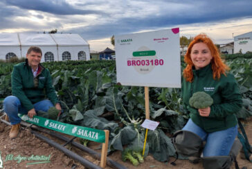 Sakata da un golpe de autoridad en el brócoli