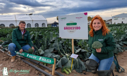 Aurelio Estopiñán y Sonia Marín en el área de brócoli en la estación de Sakata en Murcia / agroautentico.com