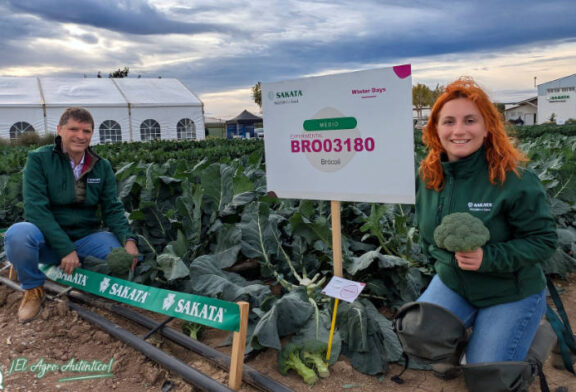 Sakata da un golpe de autoridad en el brócoli