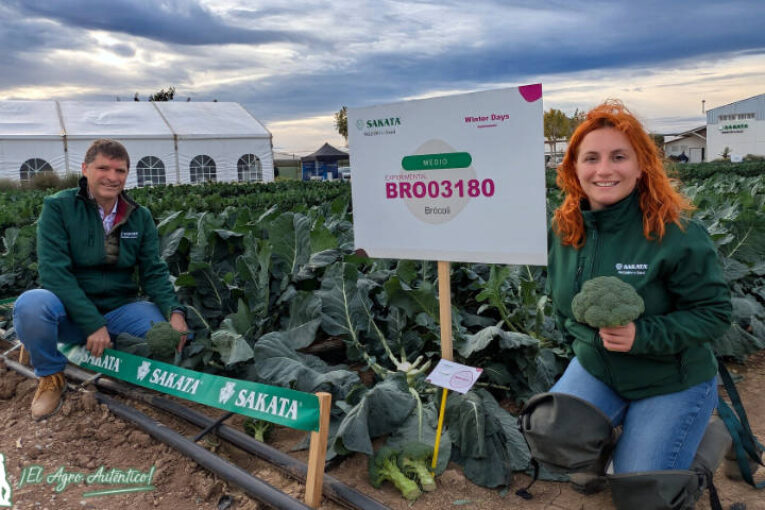 Sakata da un golpe de autoridad en el brócoli