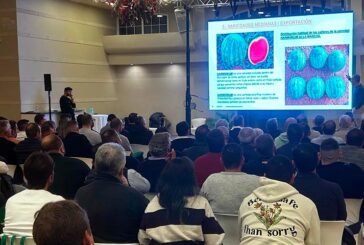 BASF | Nunhems ‘conecta’ con los productores de La Mancha para generar valor en melón y sandía