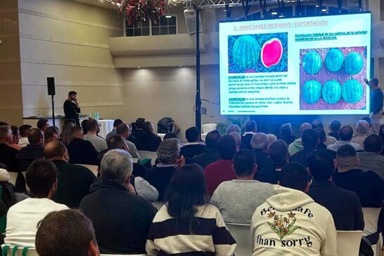 BASF | Nunhems ‘conecta’ con los productores de La Mancha para generar valor en melón y sandía