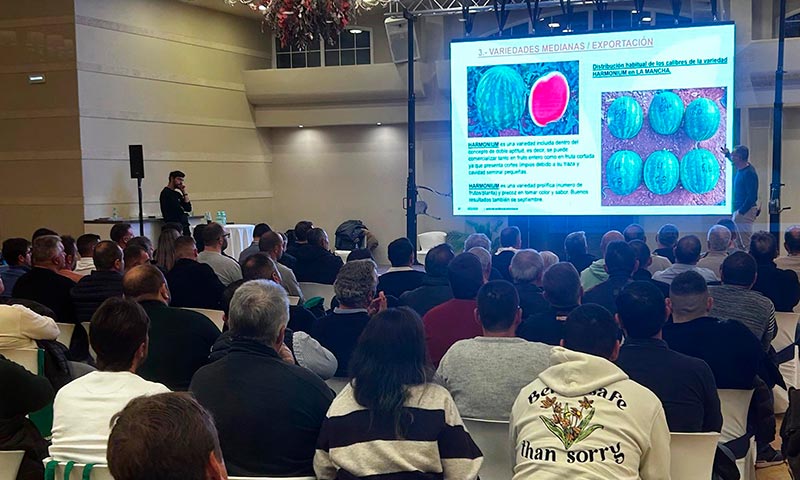 BASF | Nunhems ‘conecta’ con los productores de La Mancha para generar valor en melón y sandía