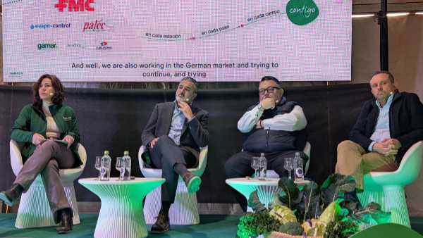 Brassicas Winter Days 2026 de Sakata en Murcia / agroautentico.com 