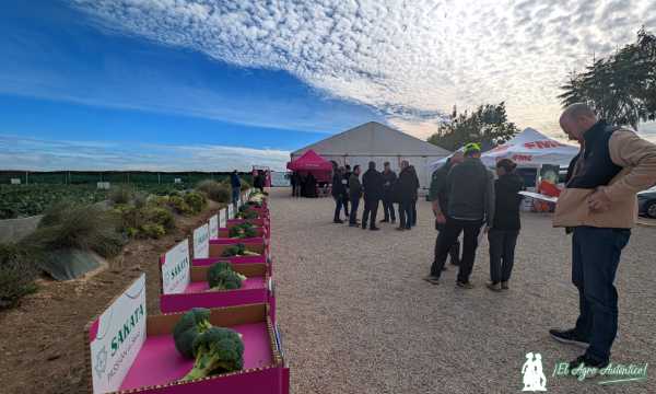 Brassicas Winter Days 2026 / agroautentico.com