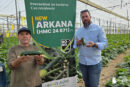 Arkana responde al invierno con resistencias en calabacín
