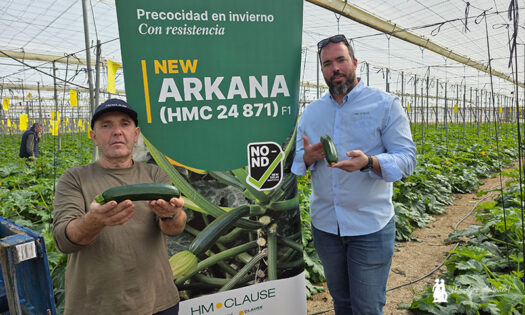 Arkana responde al invierno con resistencias en calabacín