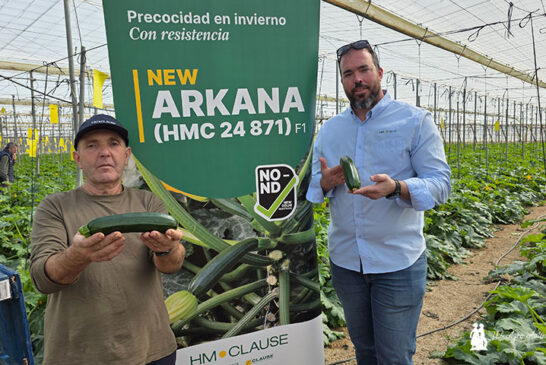 Arkana responde al invierno con resistencias en calabacín