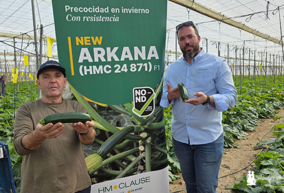Arkana responde al invierno con resistencias en calabacín