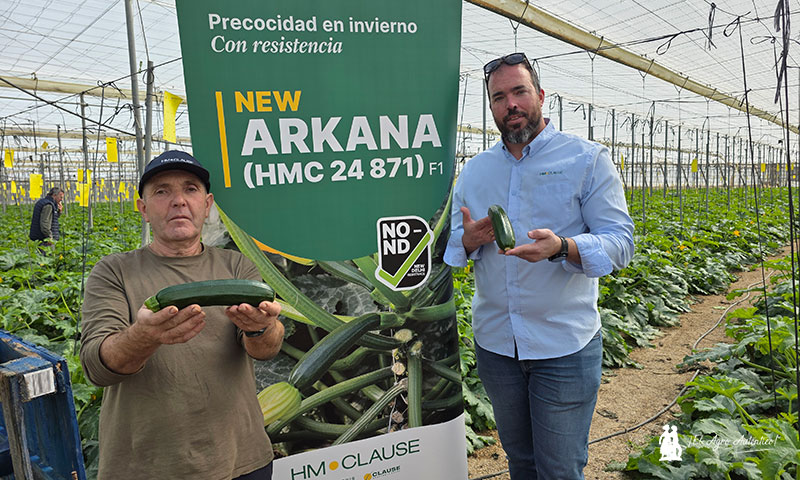 Arkana responde al invierno con resistencias en calabacín