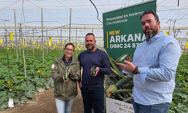Arkana responde al invierno con resistencias en calabacín 11