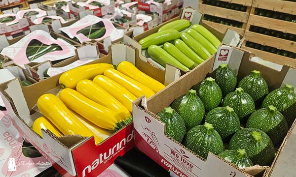 Envasado en campo. Calabacín amarillo, blanco y redondo / agroautentico.com